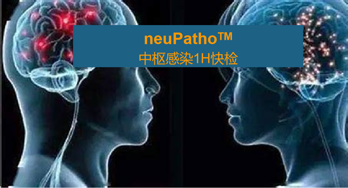 neuPatho，中枢感染病原谱