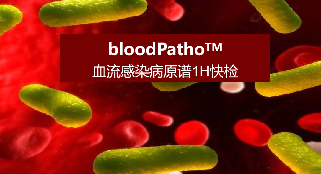 bloodPatho，血流感染病原谱