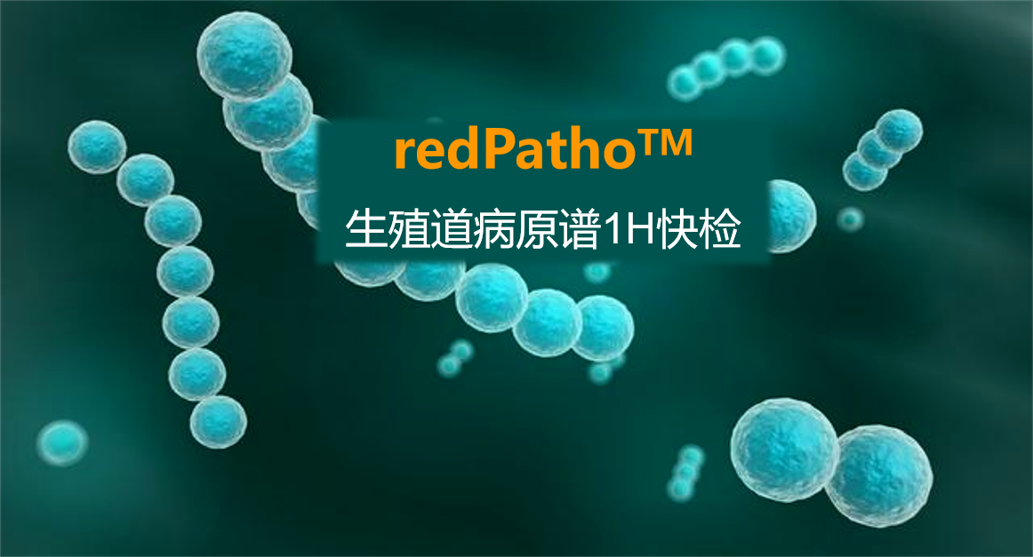 redPatho，生殖道感染病原谱