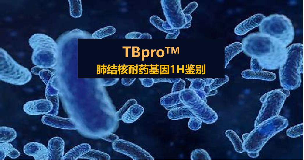 TBpro，结核菌耐药谱
