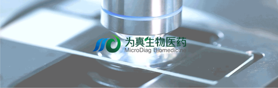 王莹院长领衔，王弢博士技术负责的研发项目获浙江省2024年度“尖兵”“领雁”研发攻关计划项目立项