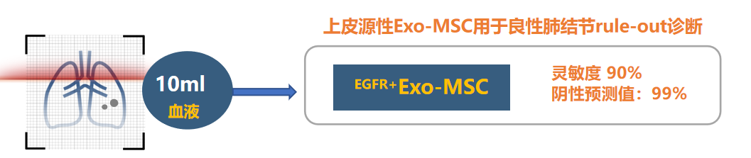 1691675255425477.png 1691675247107.png